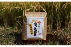 自然栽培 むつみ男米 玄米 5kg　｜HG000411