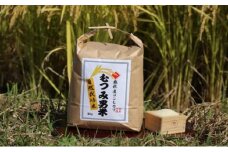 自然栽培 むつみ男米 白米 10kg　｜HG000414