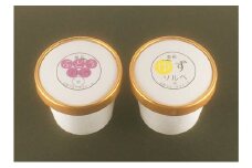 シャーベット（ぶどう・ゆず）各4個詰合せ　｜HG000458