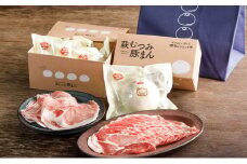 萩むつみ豚 豚まん・お肉手土産セット（保冷バッグ付）　｜HG000572