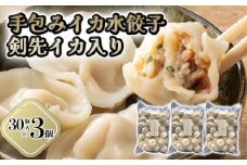 「人気・手包みイカ水餃子」【30個入】×3パック【パーティー規格】剣先イカ専門店オリジナル　｜HG000594