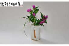 萩花入【作：波多野 英生】　｜HG000669