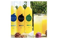 柑橘 ジュース 濃厚希釈 山口県産 3種セットA 500ml×3本 セット/夏みかん 柚子 ゆずきち　｜HG000824