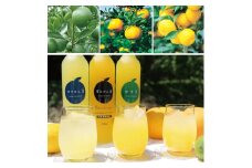 柑橘 ジュース 濃厚希釈 山口県産 3種セットB 500ml×6本 セット /夏みかん 柚子 ゆずきち　｜HG000825