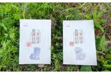 みかん 甘夏 10kg セット 『つぎはぎ農園日記』つぎはぎセット 果物 柑橘 ミカン フルーツ　｜HG000879