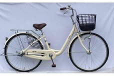 貸自転車 1日 レンタル ペアチケット　｜HG000985