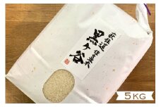 コシヒカリ 5kg 黒ヶ谷米 最上級 野菜ソムリエ プロselect 萩のお米 萩市 佐々並産 米 お米 白米　｜HG001022