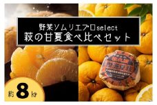 萩の甘夏 食べ比べ セット 8kg以上 20玉程度 野菜ソムリエ プロselect 甘夏 果物 デザート 柑橘　｜HG001024