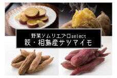 サツマイモ 4kg 萩・相島産 野菜ソムリエ プロselect 芋 お芋 野菜　｜HG001025