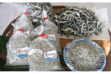 ちりめんじゃこ セット 天日干し 萩 ちりめん 130g×5 いりこ 450g×2 魚 小魚　｜HG001046