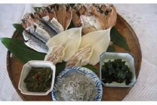 萩のおいしいお魚セット 6種 あじ のどぐろ イカ 一夜干し わかめ ちりめん　｜HG001050