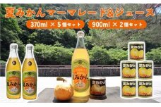 みかん 加工品 セット 萩名産 夏みかん マーマレード 370g×5個 ＆ 夏みかん ジュース 900ml×2本 柑橘類　｜HG001058