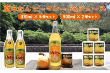 みかん 加工品 セット 萩名産 夏みかん マーマレード 370g×5個 ＆ 夏みかん ジュース 900ml×2本 柑橘類　｜HG001058