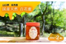純粋天然　百花はちみつ　600g×2本　｜HG001061