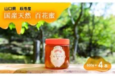 純粋天然　百花はちみつ　600g×4本　｜HG001062