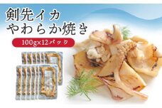 イカ 剣先イカ やわらか焼き 剣先イカ専門店こだわりの木桶仕込み醤油×甘糀で漬けたイカ焼き 12個 セット　｜HG001074