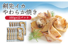 イカ 剣先イカ やわらか焼き 剣先イカ専門店こだわりの木桶仕込み醤油×甘糀で漬けたイカ焼き 12個 セット　｜HG001074