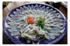 ふぐ とらふぐ フルセット 1～2人前 フグ 刺身 鍋 魚　｜HG001080