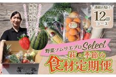 野菜ソムリエプロselect／萩・季節の食材定期便　12回コース　｜HG0T0038
