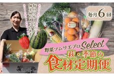 野菜ソムリエプロselect／萩・季節の食材定期便　6回コース　｜HG0T0032