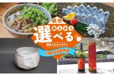 あとから選べる！萩市ふるさとギフト 寄付金額100,000円分 ｜HGH00116