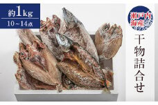 干物詰め合わせ　10～14点　約1kg【1227141】