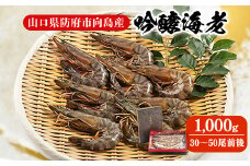 ＜山口県防府市向島産＞吟醸海老1,000g【1330510】