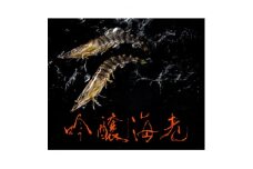 ＜山口県防府市向島産＞2L～3Lサイズ吟醸海老活き250g(5～7尾前後)【1375398】