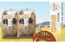 栽培期間中農薬・肥料不使用で作った朝日米　玄米20kg_ 米 朝日米 こめ お米 おこめ コメ 玄米 げんまい 10kg×2個 計20kg ごはん ご飯 おにぎり 農薬不使用 肥料不使用 産地直送 産直 山口県 防府市 贈答 ギフト プレゼント 送料無料 【1385882】