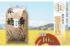 栽培期間中農薬・肥料不使用で作った朝日米　玄米10kg_ 米 朝日米 こめ お米 おこめ コメ 玄米 げんまい 10kg ごはん ご飯 おにぎり 農薬不使用 肥料不使用 産地直送 産直 農家直送 山口県 防府市 贈答 ギフト プレゼント 送料無料 【1403841】