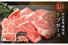 山口県産　秋吉台高原牛リブロース焼肉500g_ 牛肉 肉 和牛 リブロース 国産 焼肉 ビーフ 山口県 高原牛 秋吉台 交雑種 黒毛和種 無角和種 和牛間交雑種 冷凍 グルメ 贈答 ギフト 500g 産地直送 牛脂付 【1444666】