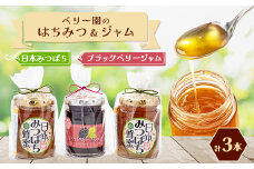 海の見える小さなベリー園の日本みつばちの「ハチミツ」＜非加熱＞とブラックベリージャムのセット【1452015】