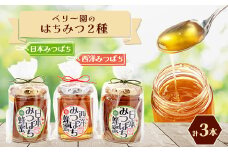 海の見える小さなベリー園の日本みつばちと西洋みつばちの「ハチミツ」＜非加熱＞の食べ比べセット(C)【1452016】