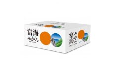 ＜訳あり＞今年は少し大きめ。富海産濃い味みかん　3kg【1461331】