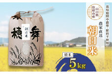 栽培期間中農薬・肥料不使用で作った朝日米　精米5kg_ 米 朝日米 精米 こめ お米 おこめ コメ 白米 5kg 甘い おいしい ごはん ご飯 おにぎり お弁当 農薬不使用 肥料不使用 産地直送 産直 山口県 防府市 贈答 ギフト プレゼント 送料無料 【1473446】