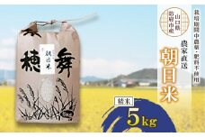 栽培期間中農薬・肥料不使用で作った朝日米　精米5kg_ 米 朝日米 精米 こめ お米 おこめ コメ 白米 5kg 甘い おいしい ごはん ご飯 おにぎり お弁当 農薬不使用 肥料不使用 産地直送 産直 山口県 防府市 贈答 ギフト プレゼント 送料無料 【1473446】