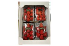 鹿丸農園のおまかせ いちごセット大＜約250g×4パック　約1kg＞【1575482】