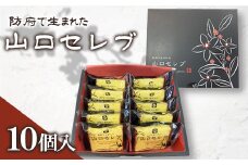 山口セレブ(10個入)【1604663】