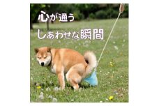 犬のフンキャッチャー　らふーん＜普通枠＞手が汚れない、立ったまま楽しくフンキャッチ　小型犬～中型犬用【1615812】