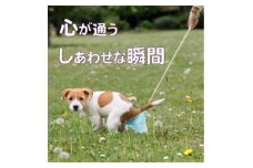 犬のフンキャッチャー　らふーん＜小型枠＞手が汚れない、楽しくフンキャッチ　トイプードルなど超小型犬用【1615828】