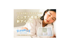 和紙生地 枕カバー SleePlus スリープラス【1628523】