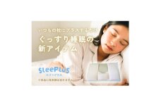 和紙生地 枕カバー SleePlus スリープラス【1628523】