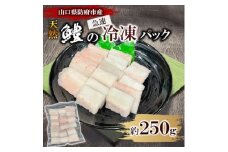山口県防府市沖で獲れる天然鱧　約250g【1564367】