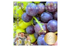 ぶどう・シャインマスカット(全種タネあり)食べ比べセット　2kg【1637865】