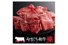 ＜やまぐち和牛燦(きらめき)＞切り落とし 400g(防府市)【1645465】