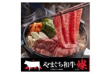 ＜やまぐち和牛燦(きらめき) ＞すき焼き食べ比べセット 500g(防府市)【1645473】