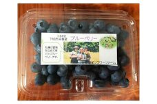 No.002 くるまきブルーべリー ／ 採れたて エコ山口100認証 山口県 特産品