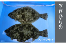 No.003 笠戸ひらめ ／ 魚 ヒラメ 鮃 山口県 特産品