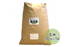 No.027 米川こしひかり　玄米　30kg ／ お米 コシヒカリ 山口県 希少品 特産品