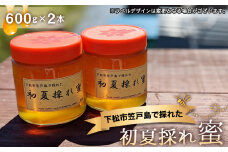 No.069 下松市笠戸島で採れた初夏採れ蜜 ／ 蜂蜜 はちみつ ハニー 非加熱 無添加 天然 山口県 特産品